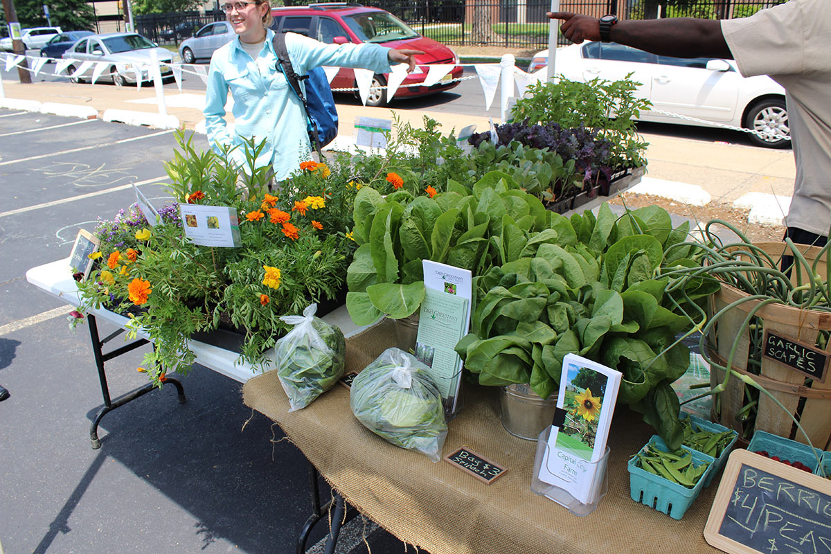 Greenwood Ave Farmers Market Capital Area YMCA