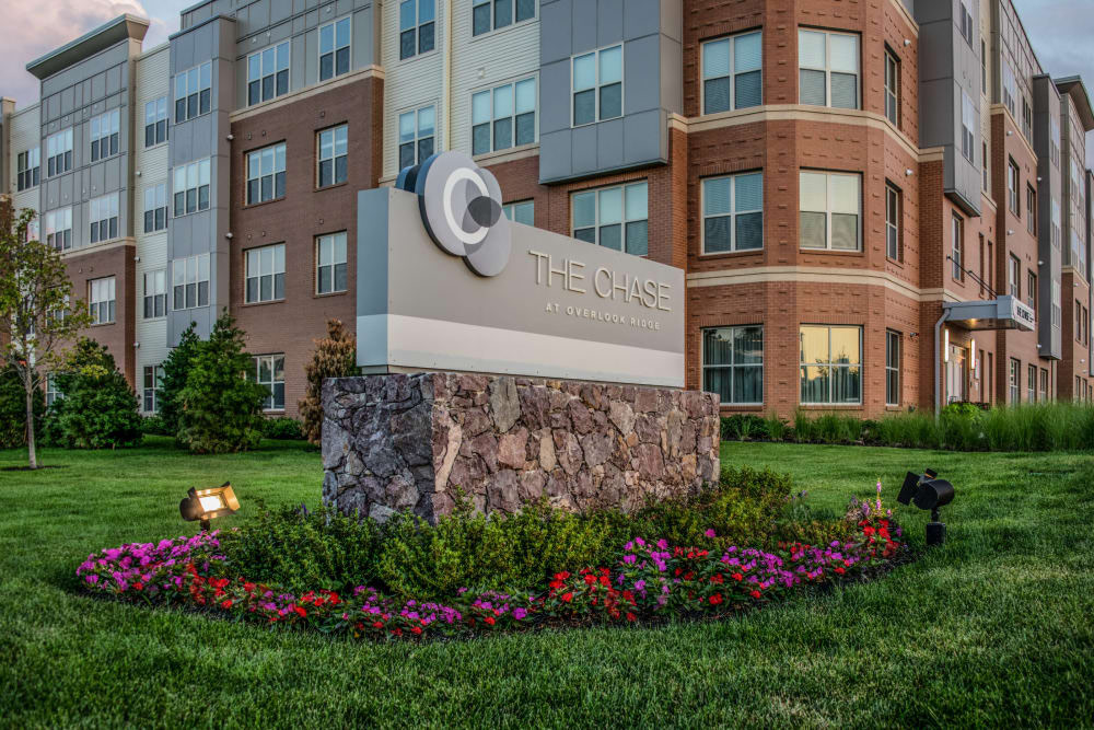 Overlook Ridge Malden Capitol Excavation Services