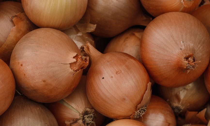 Onion farmers invest in industry’s future The Capitol Pressroom