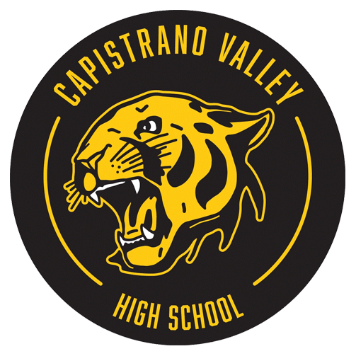 Stadium Renovation CAPO Football