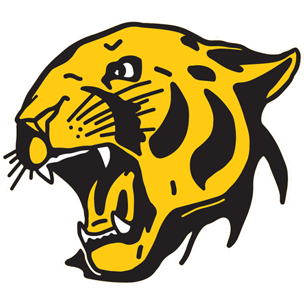 to CAPO Football High School Cougars Football