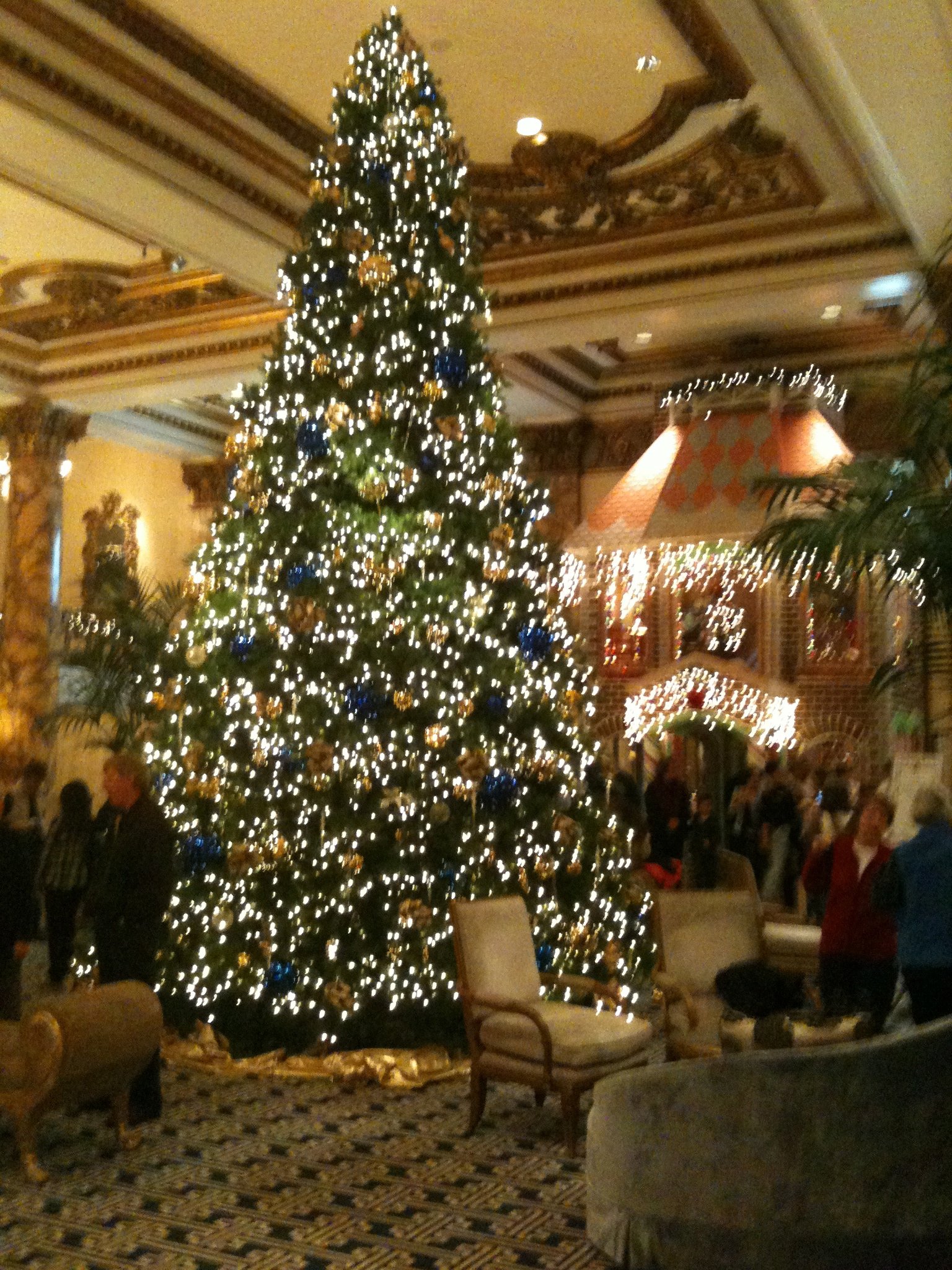 Christmas Tree Few Will See Erected in Downtown (ghost town) Santa Barbara