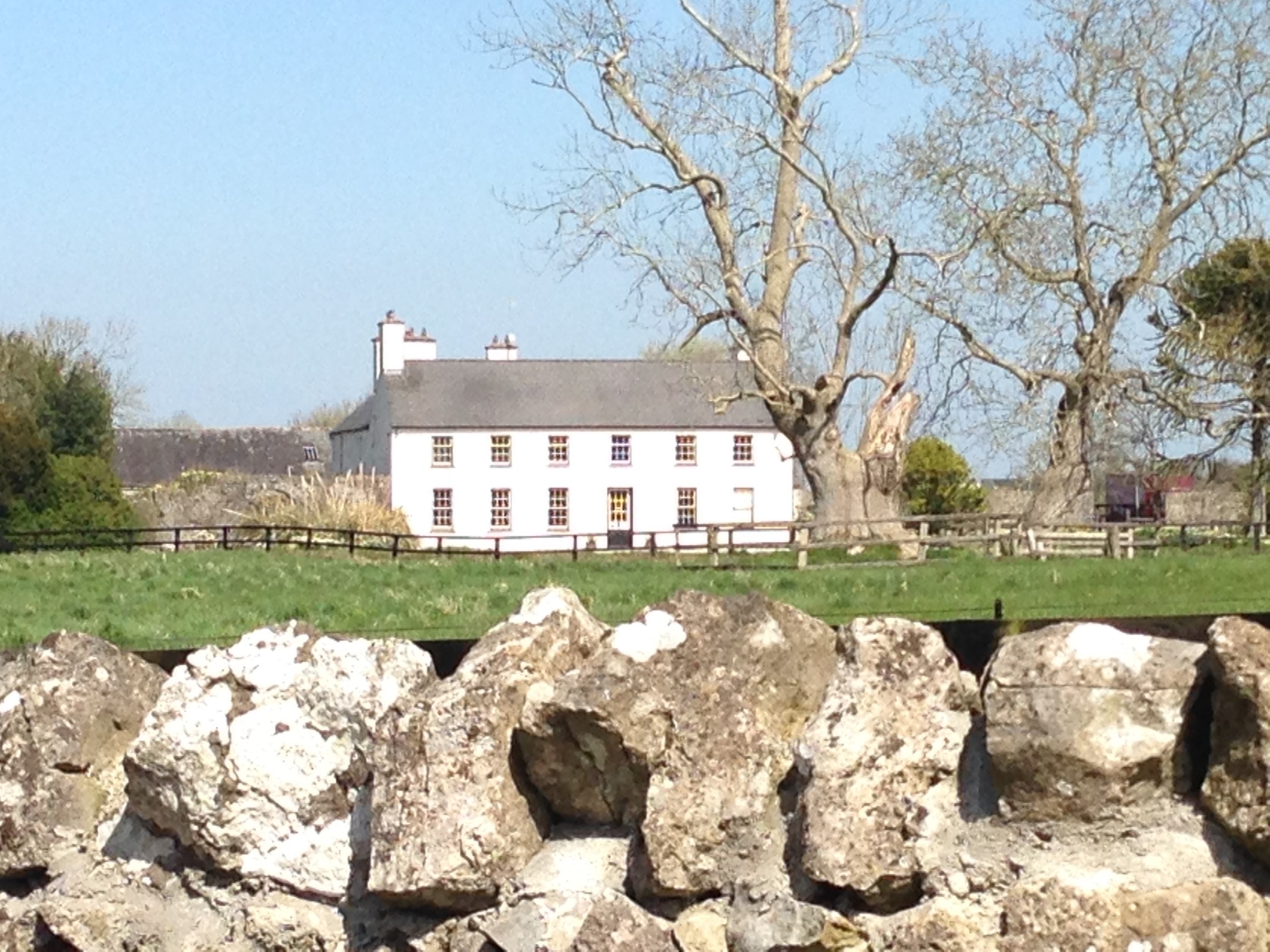 Cappagh House
