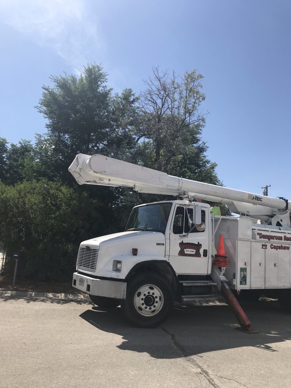 Tree Trimming & Removal Casper, WY Capshaw Tree Service