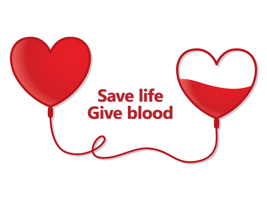 Blood Bank Management System Capstone Project Document Capstone Guide