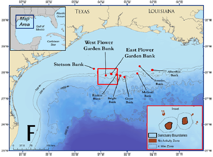 Galveston Fishing Charters Explained The Damn Good Guide to Galveston