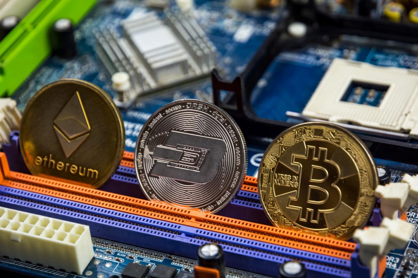 Trading Platforms A Safe Haven For Novice Crypto Traders CaptainAltcoin