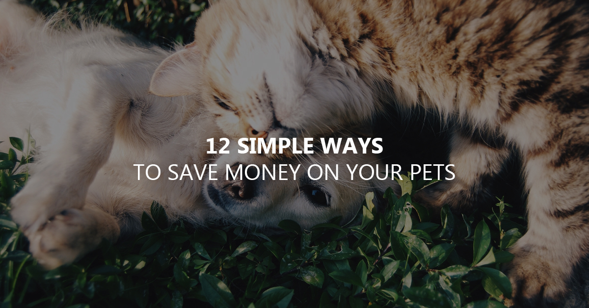 12 simple ways to save money on your pets CaptainCash