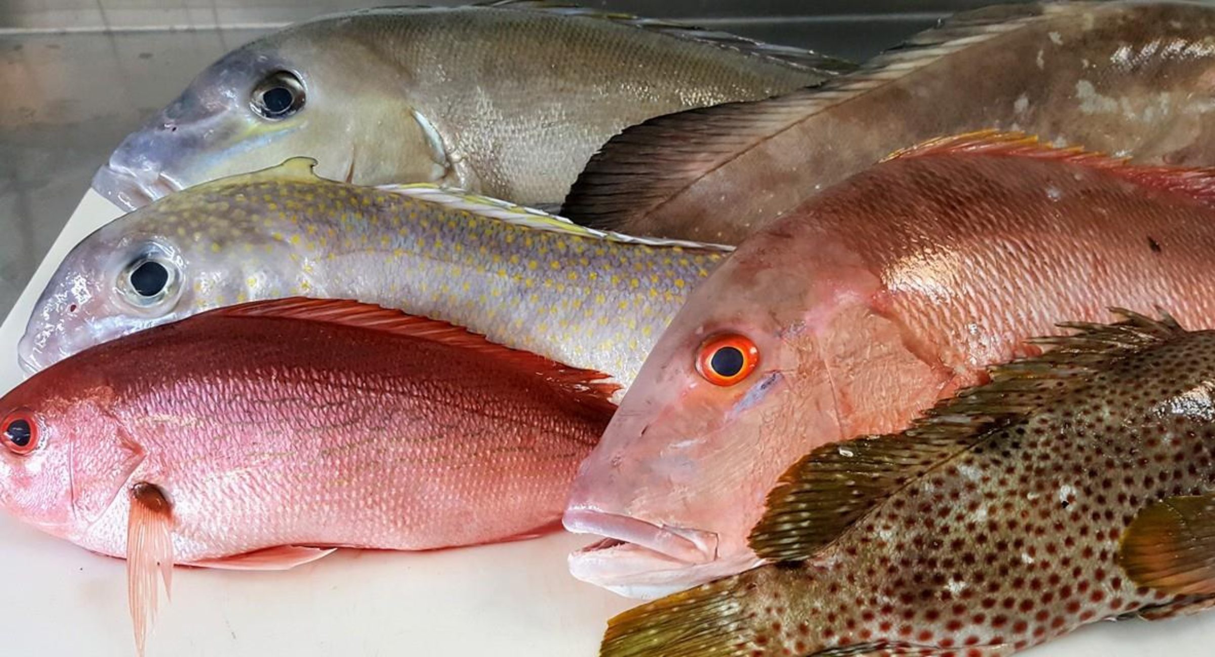 Captain Clay and Sons Seafood Market "Always the best selection