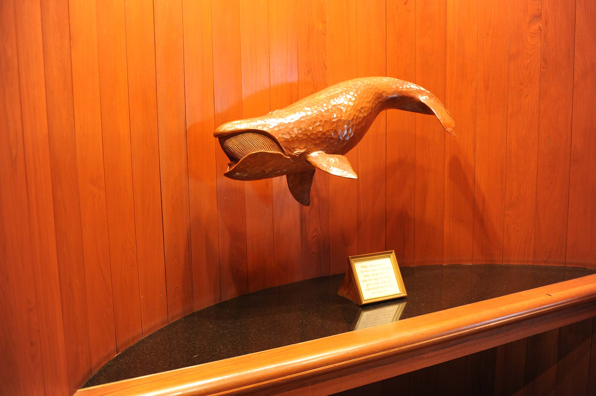 Art Gallery Hotel Captain Cook