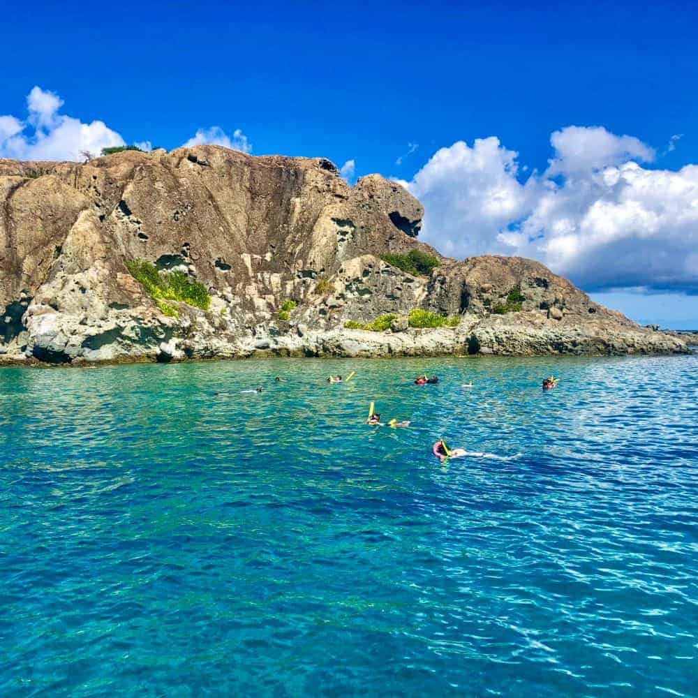 Half Day Eco Tour Captain Flint Boat Charters