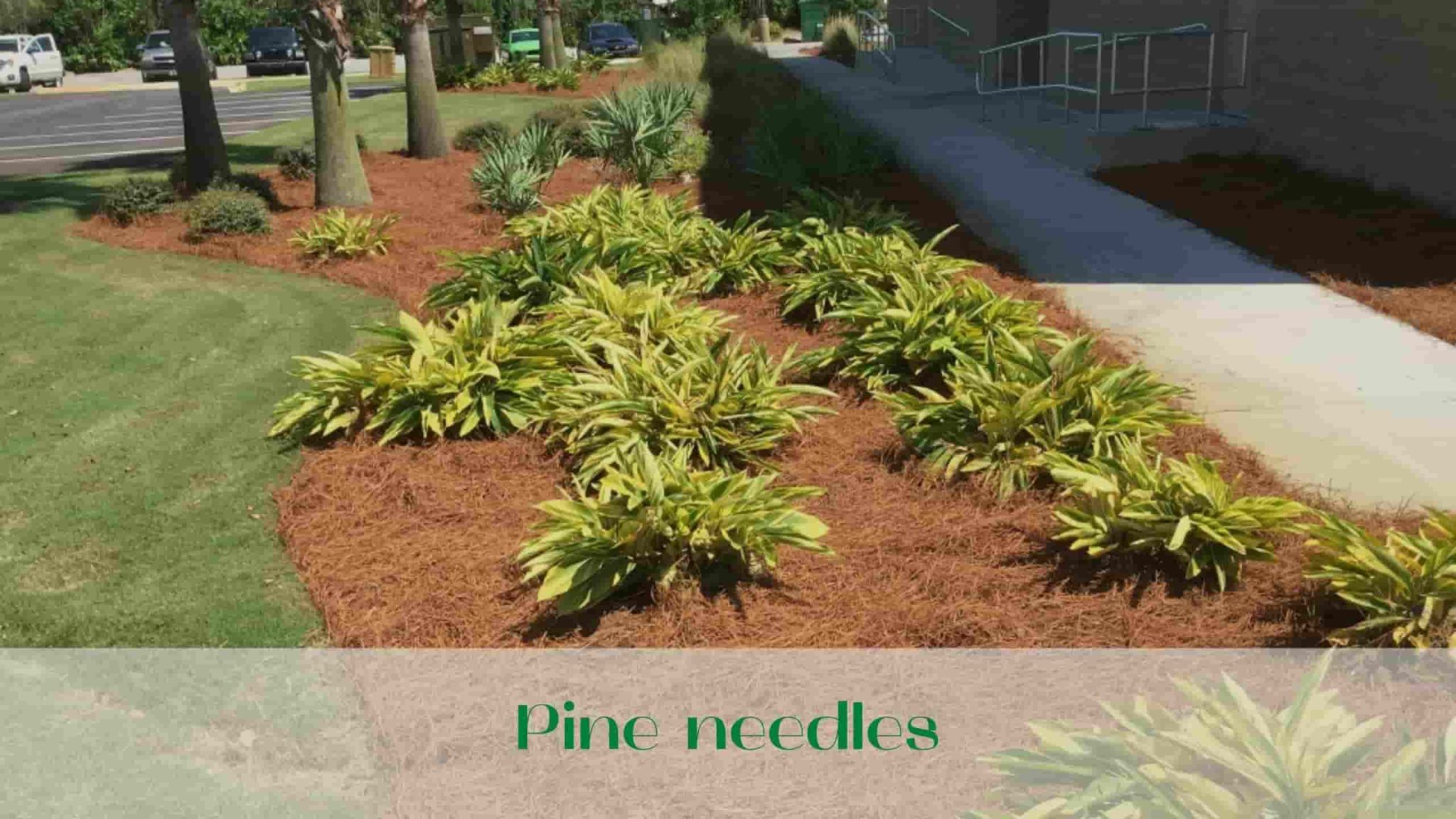 Mulching Types of Mulch and Features ( Best Tips ) 1 ⭐️