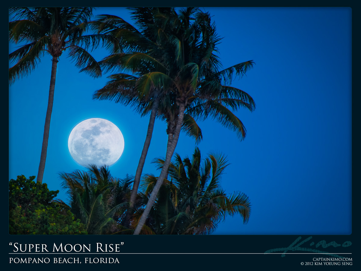 Super Full Moon Rise at Pompano Beach Hillsboro Inlet Coconut Trees