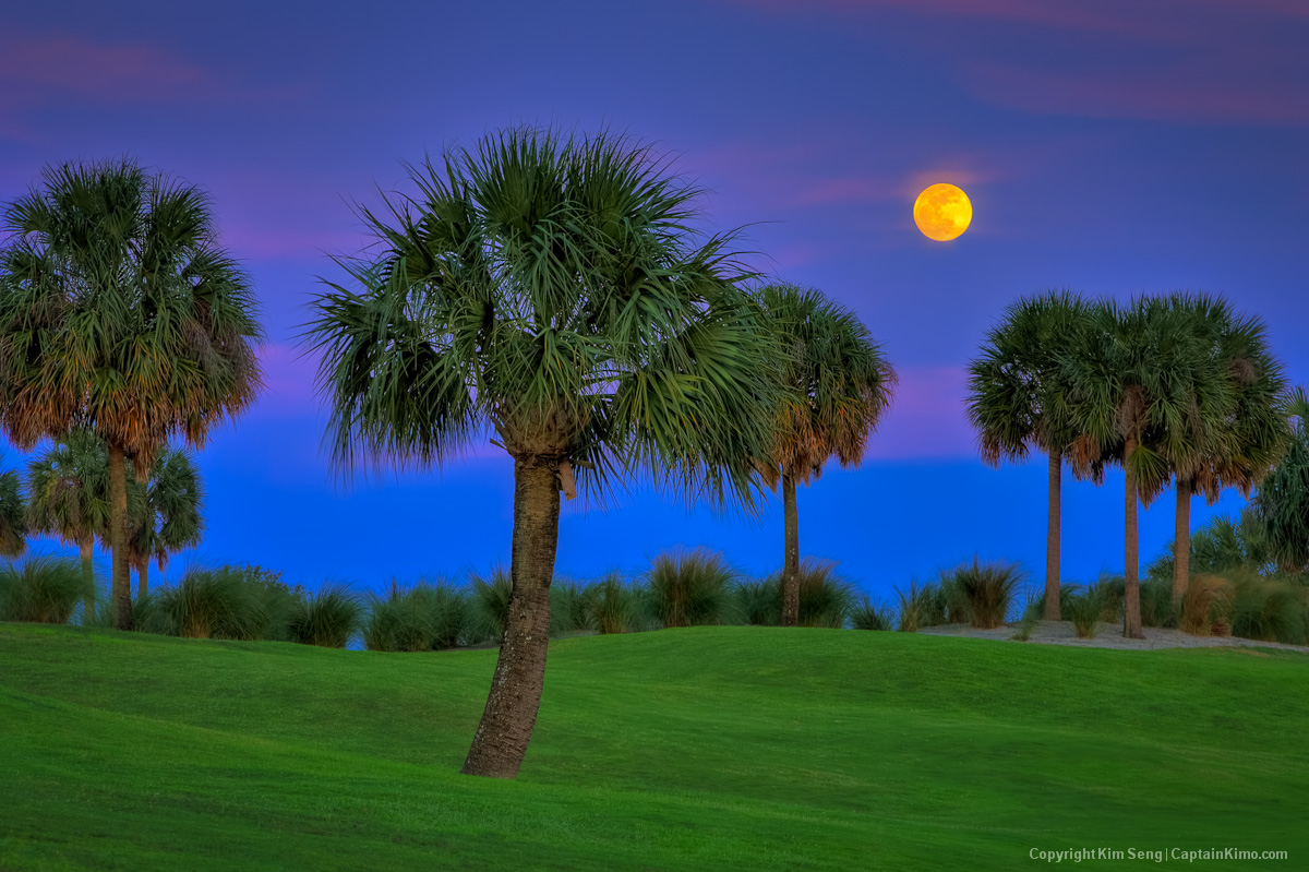 North Palm Beach Golf Course Moon Rising Over Palm Trees HDR Photography by Captain Kimo