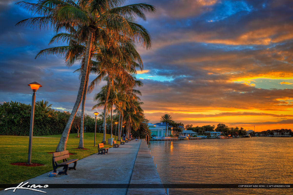 Red Reef Park Golf Course Coconut Tree Boca Raton HDR Photography by
