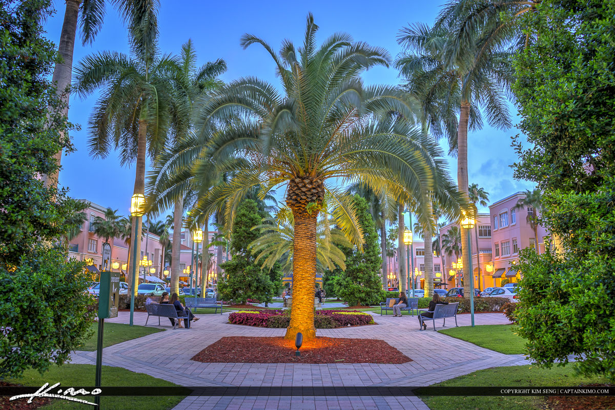 Mizner Park Boca Raton Nighttime Garden HDR Photography by Captain Kimo