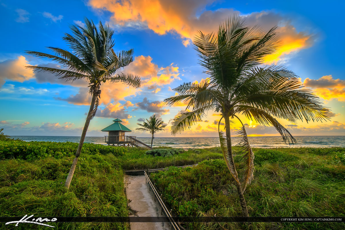 Boca Raton Beach Sunrise Coconut Palm Tree HDR Photography by Captain