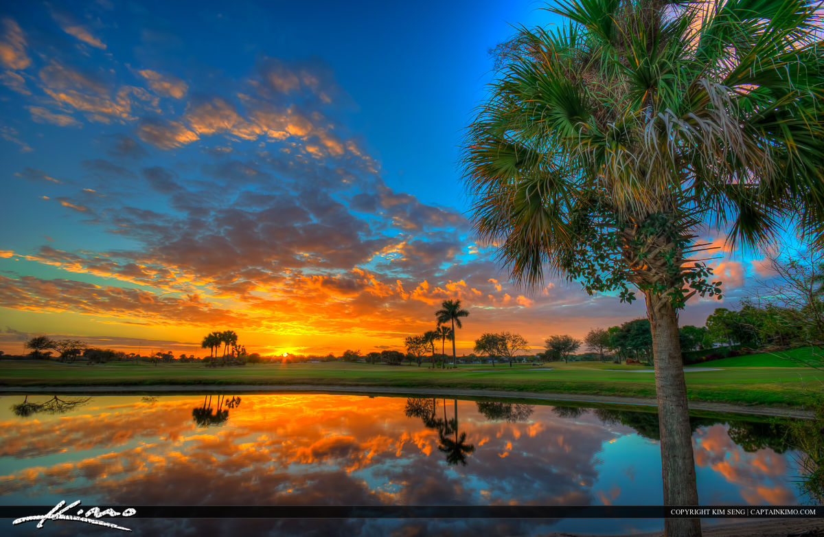 Palm Tree Sunset at Golf Course Abacoa Jupiter Florida HDR