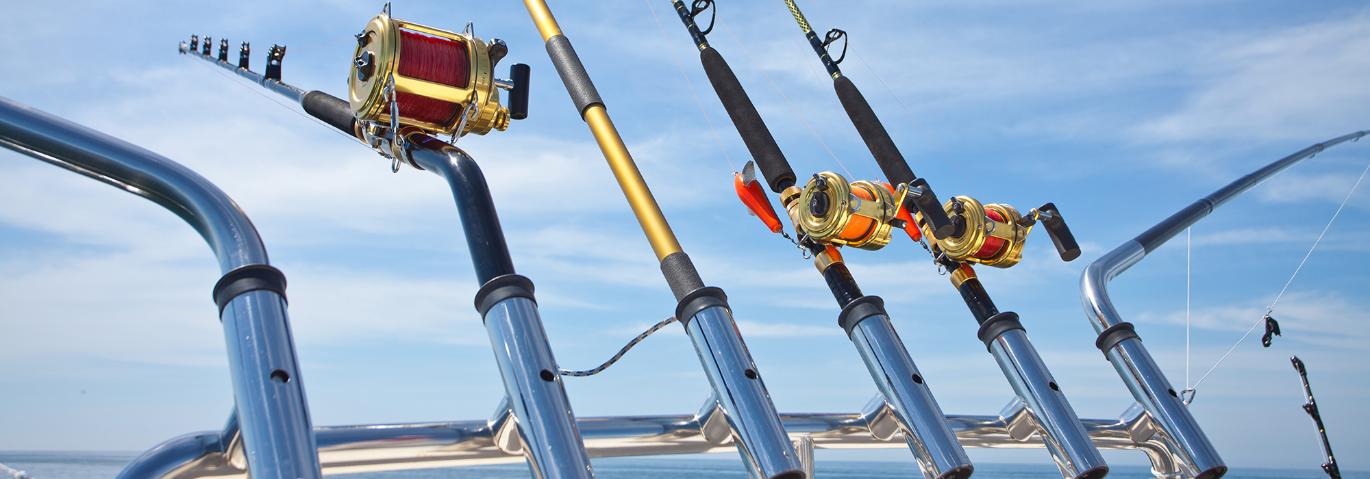 Fishing Charters New York Captain Charters Marine Services
