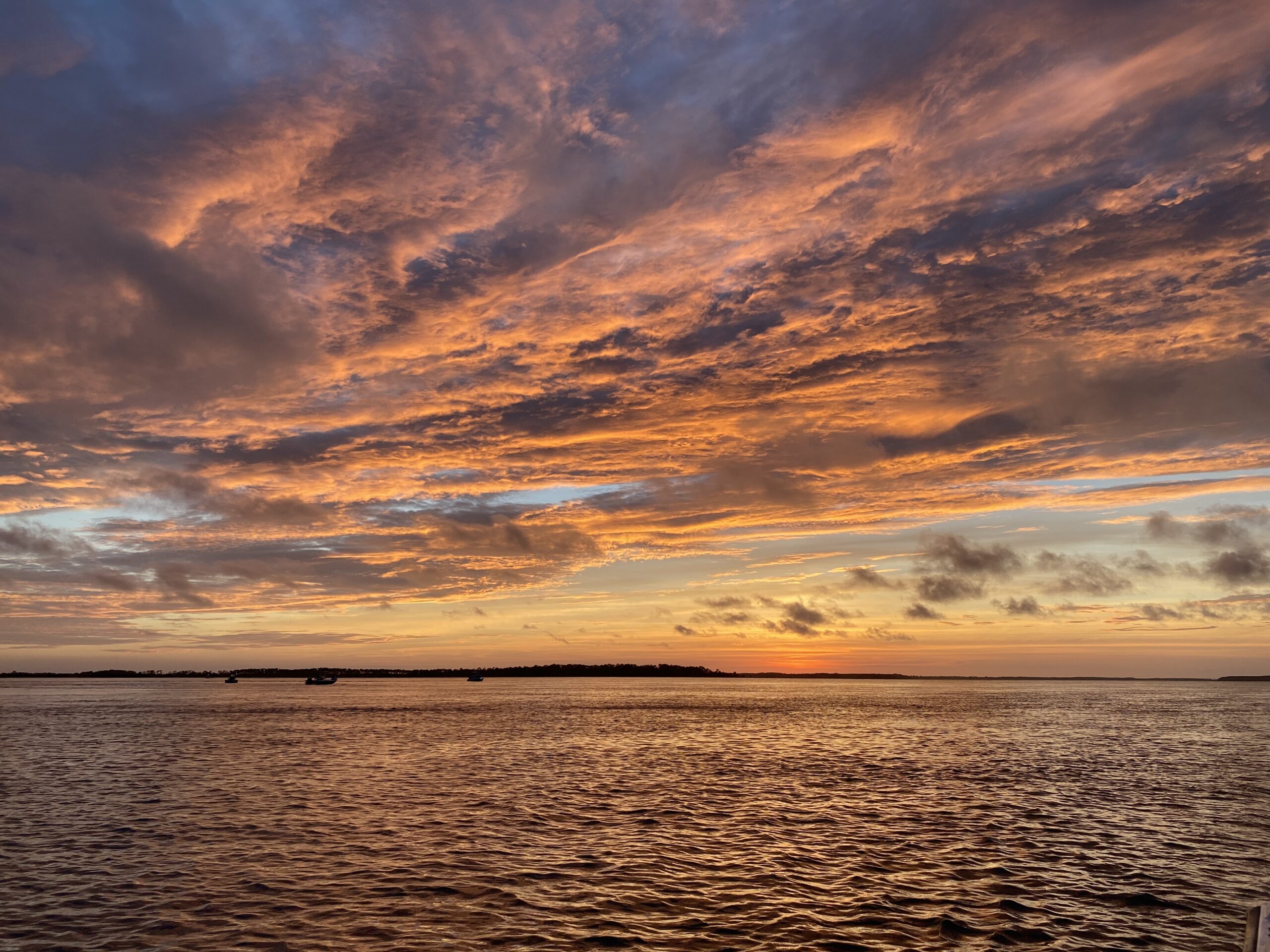 Edisto Beach Boat Tours