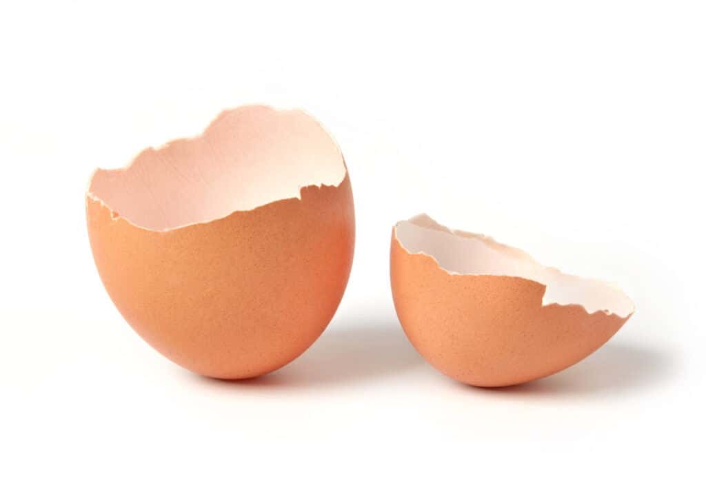 6 Stellar Outdoor Plants That Repel Lizards From Your Space Captain Patio