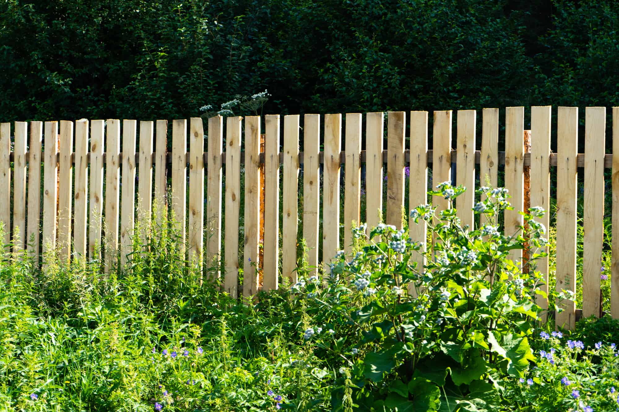5 Ways to Help Determine Which Fence is Yours Captain Patio