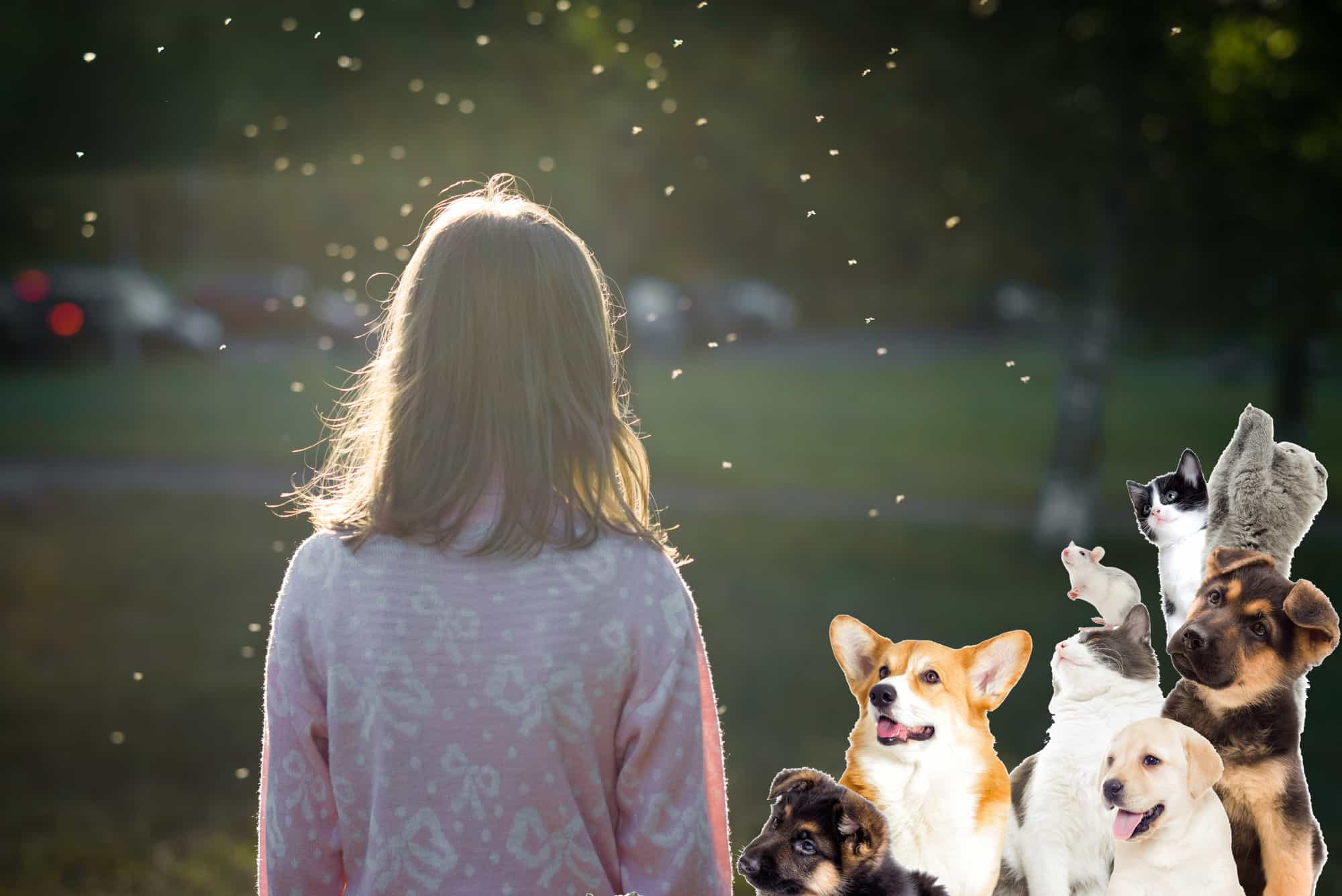 How To Keep Gnats From Biting Dogs