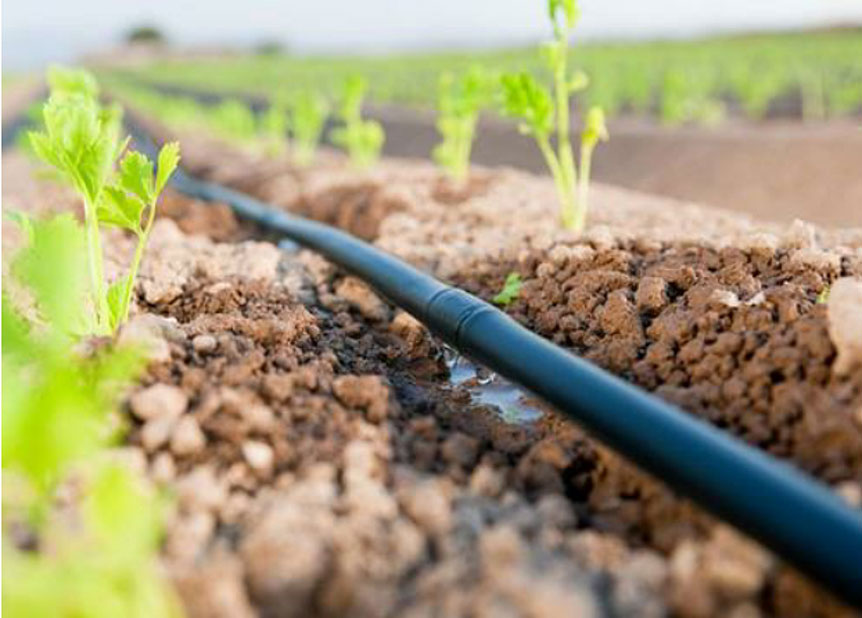 Drip Irrigation Systems What Are They And How Do They, 49 OFF