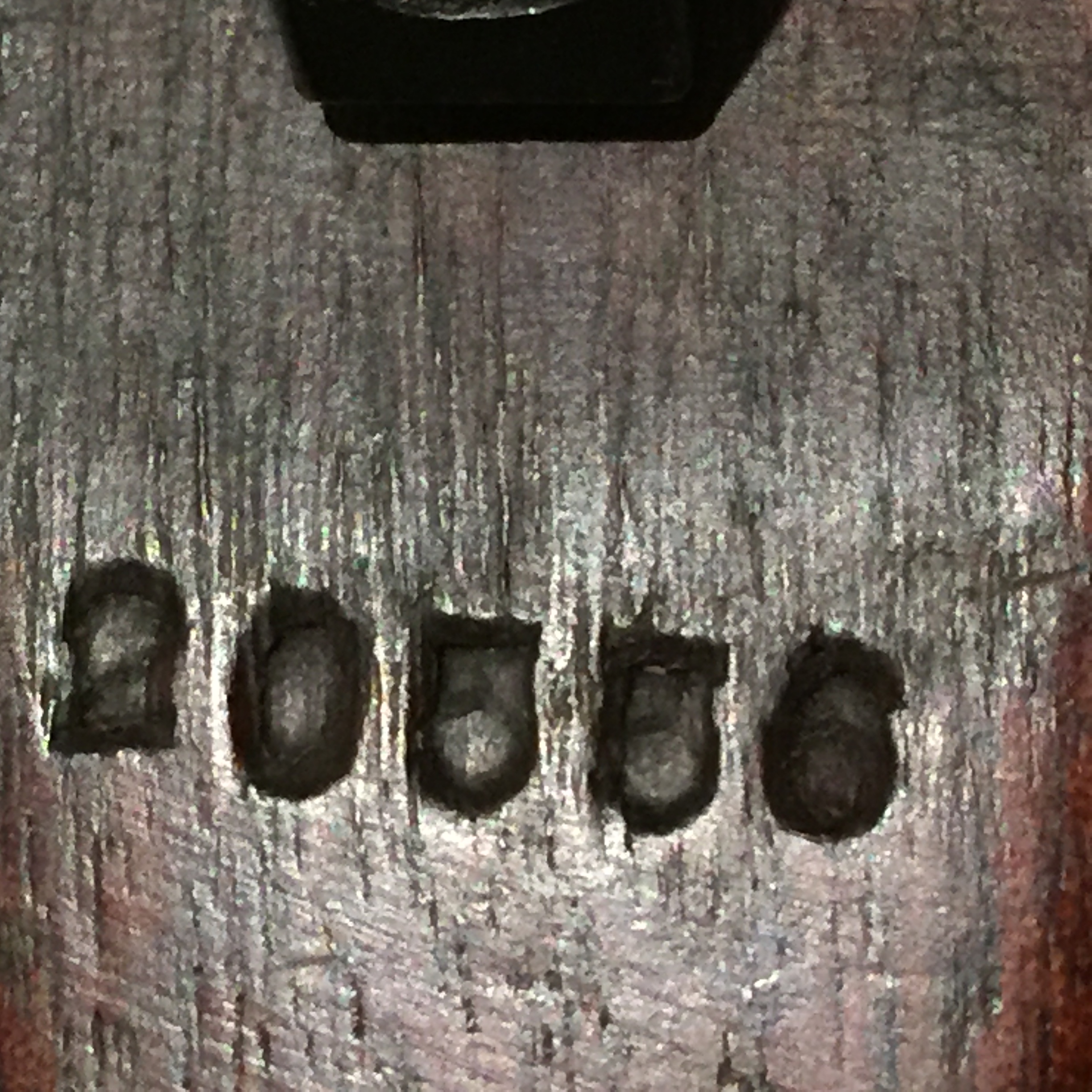 Dream Aquarium Screensaver Serial