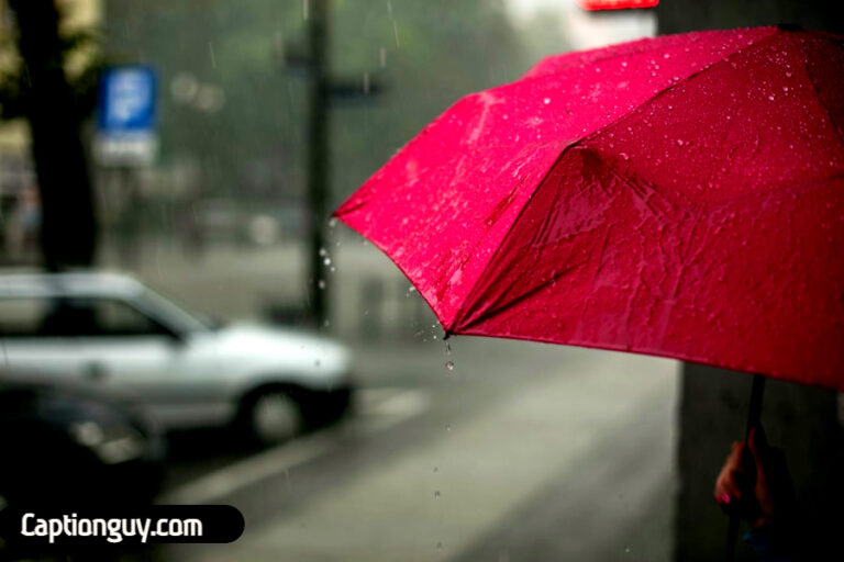 50 Best Umbrella Captions Caption Guy