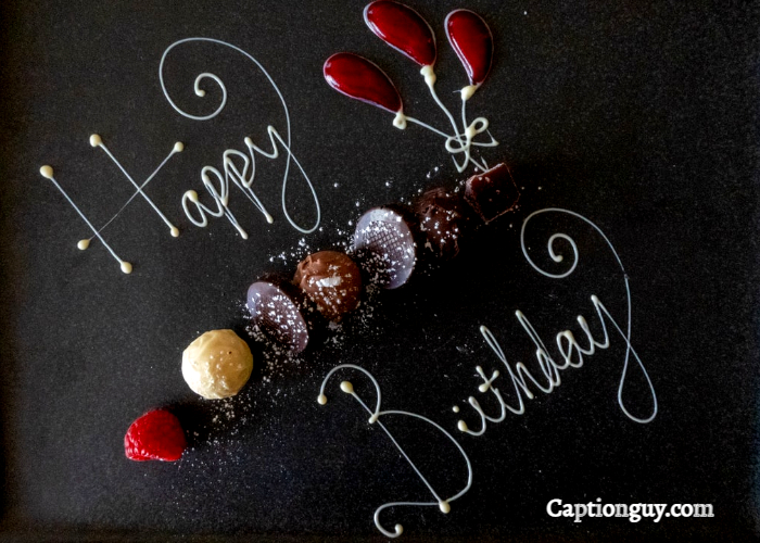 45+ Best Happy Birthday Captions for Instagram Caption Guy