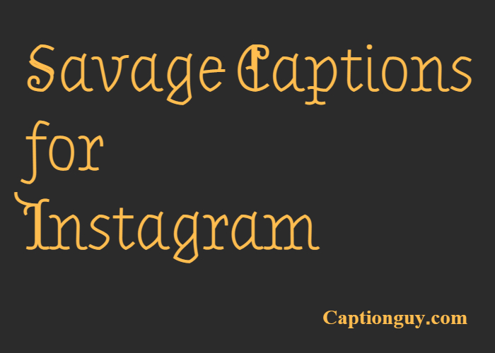 70+ Best Savage Captions for Instagram Caption Guy