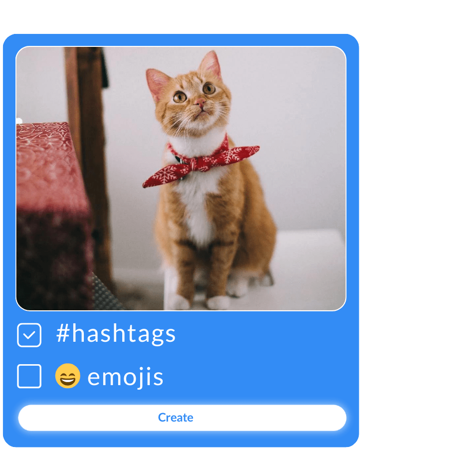Caption My Photos Easily create bulk photo captions.
