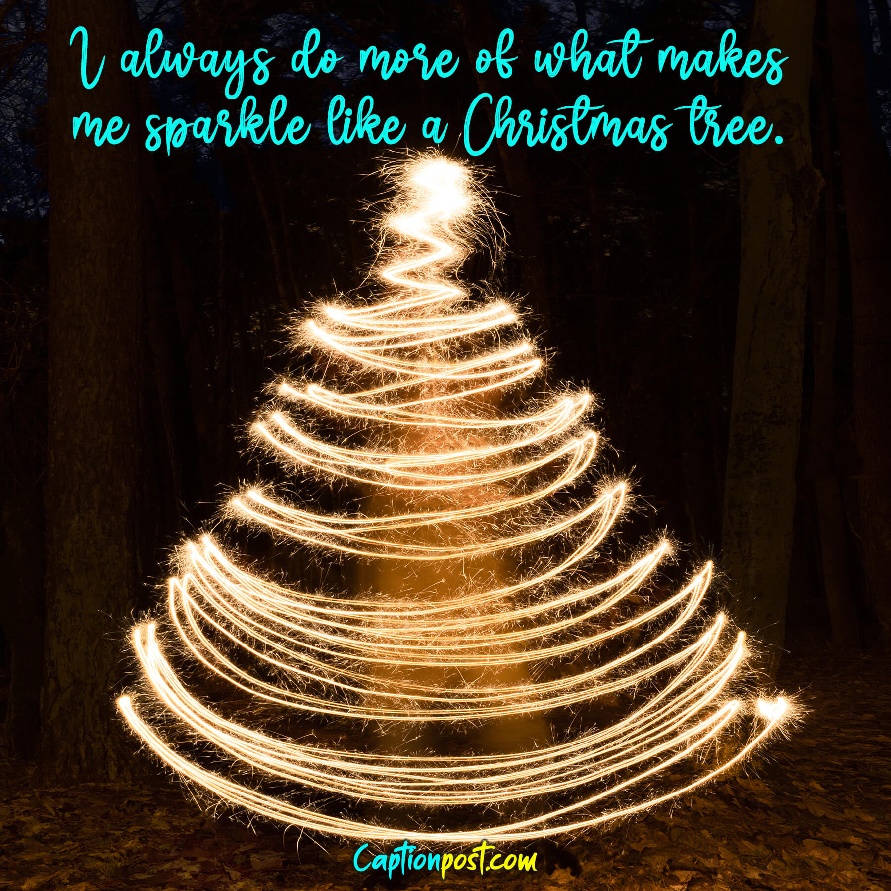 65+ Catchy Christmas Tree Captions For Instagram Captionpost