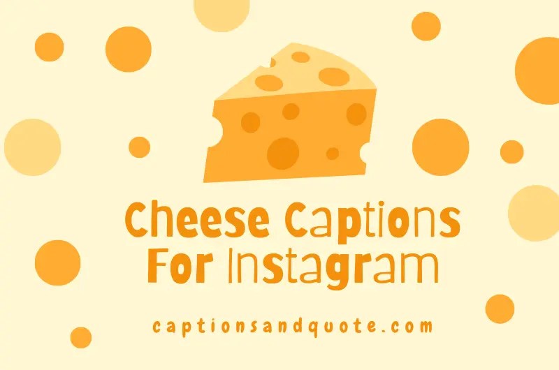 150+ Best Cheese Captions And Quotes For Instagram In 2024