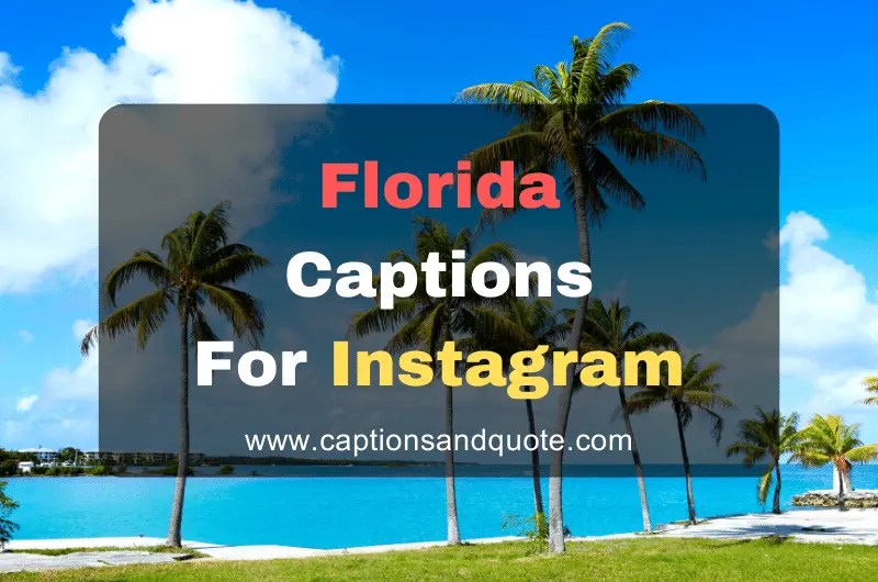Best Florida Captions and Quotes for Instagram In 2024