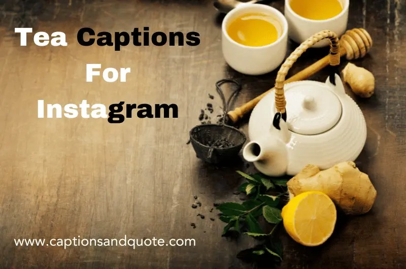 250+ Best Tea Captions And Quotes For Instagram In 2024