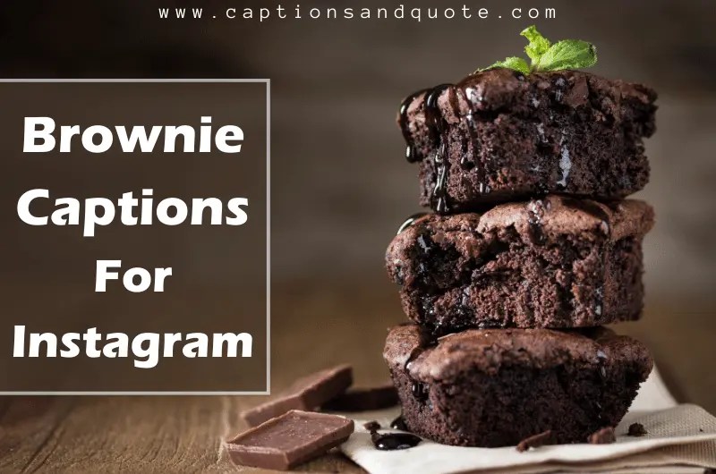 240+ Best Brownie Captions And Quotes For Instagram
