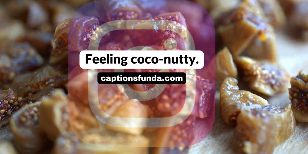 999+ Best Dry Fruit Captions For Instagram CaptionsFunda
