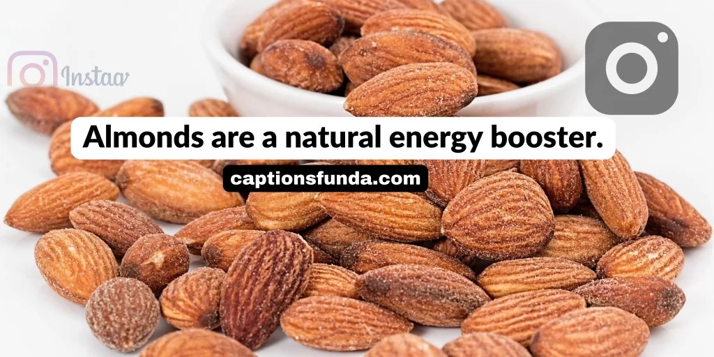 999+ Best Dry Fruit Captions For Instagram CaptionsFunda