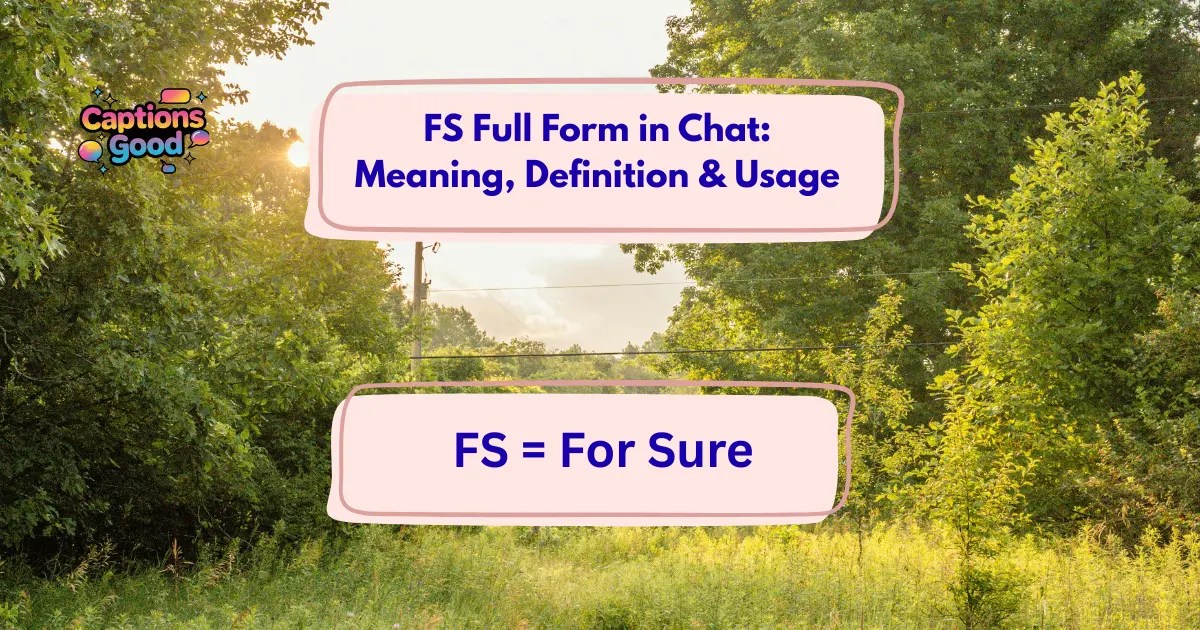 Fs Full Form In Chat Meaning Definition Usage