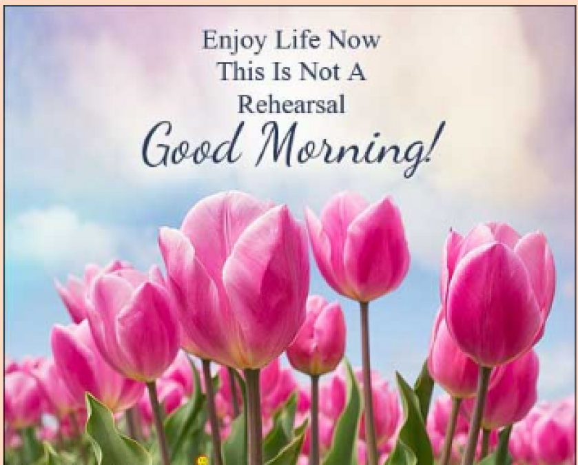 Have a Good Day Status, Quotes and Wishes