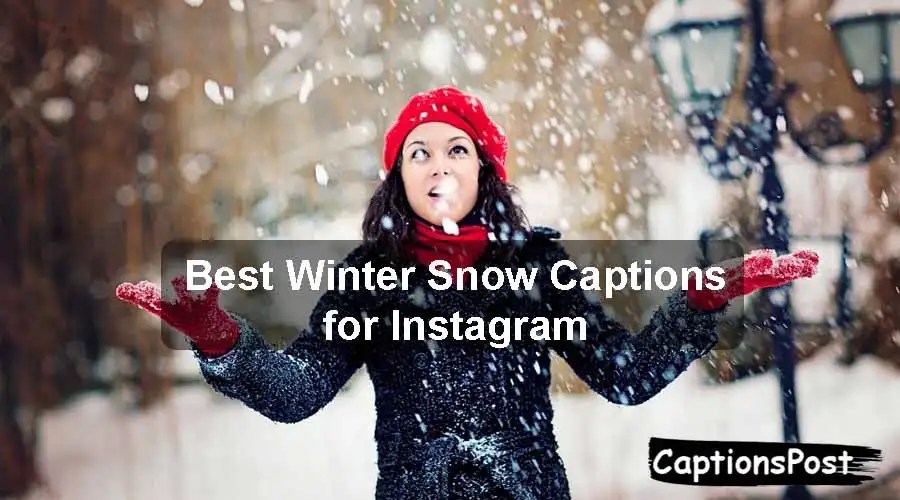 250+ Best Winter Snow Captions for Instagram [Funny, Cute]
