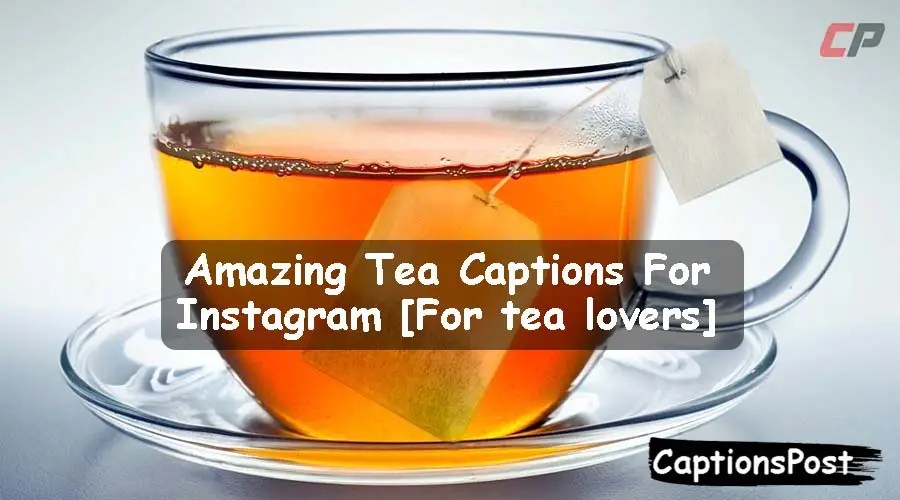 200+ Amazing Tea Captions For Instagram [For tea lovers]