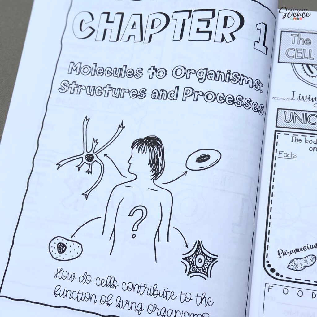 Life Science Doodle Workbook Captivate Science