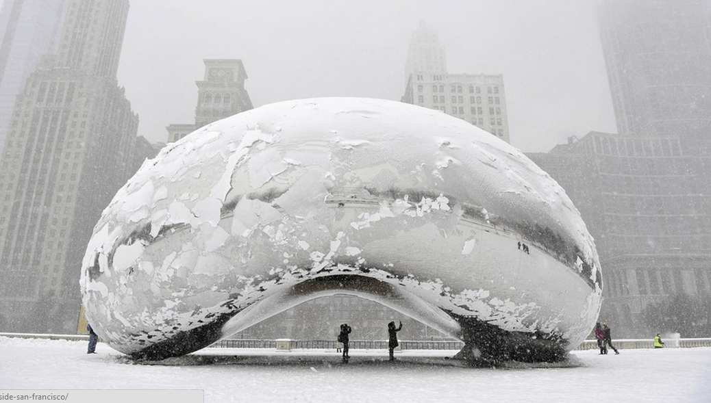 Chicago Bean Captivation Pics