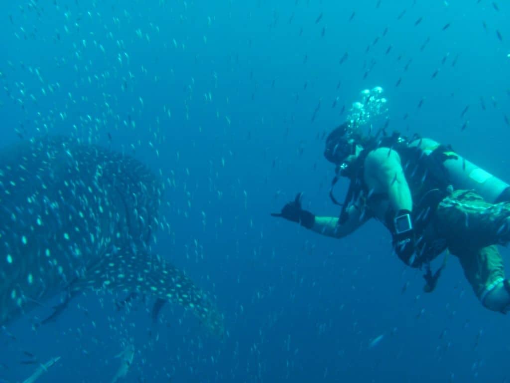 Mohawk Wreck Captain Pete's Diving Outfitters