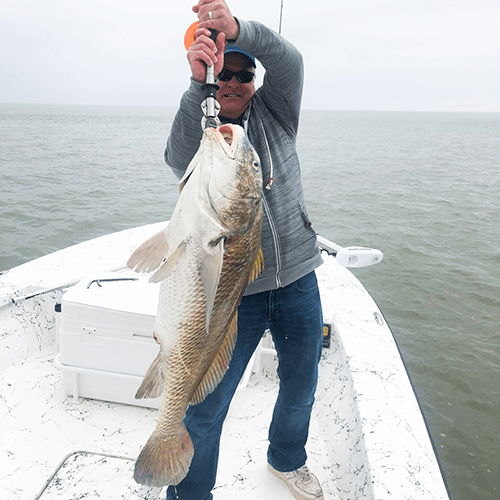 Inshore Species in Rockport, Texas
