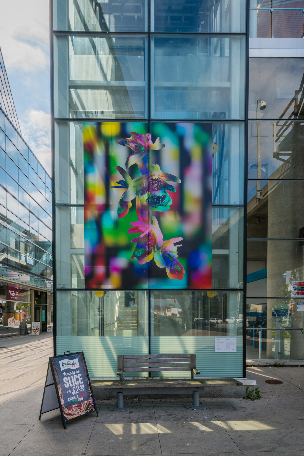 Mirror Flower, Water Moon Capture Photography Festival