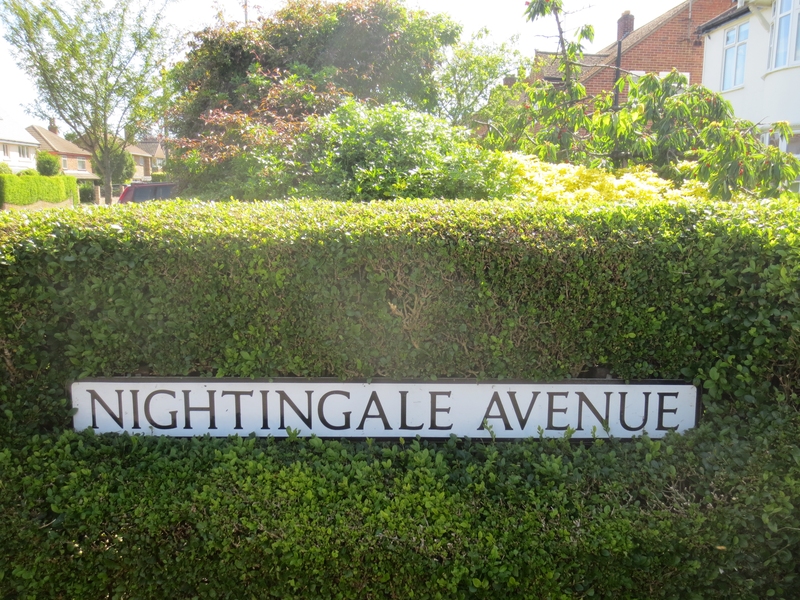 Nightingale Avenue Capturing Cambridge